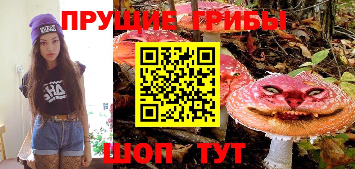 Галлюциногенные грибы Cubensis  Вход с VPN  Барнаул 